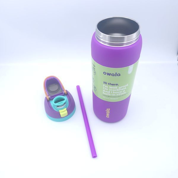 Пляшка термос Owala FreeSip Violet Mint 710 мл з нержавіючої сталі, спортивна з трубочкою 1795 фото