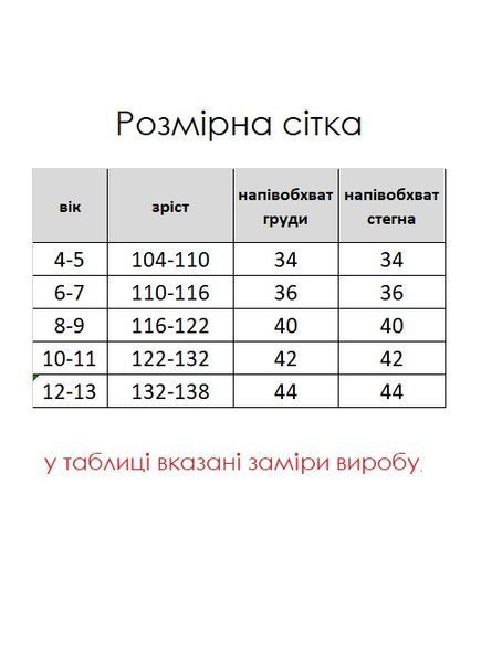 Піжама дитяча тепла з флісу полар Hope 4444334 фото